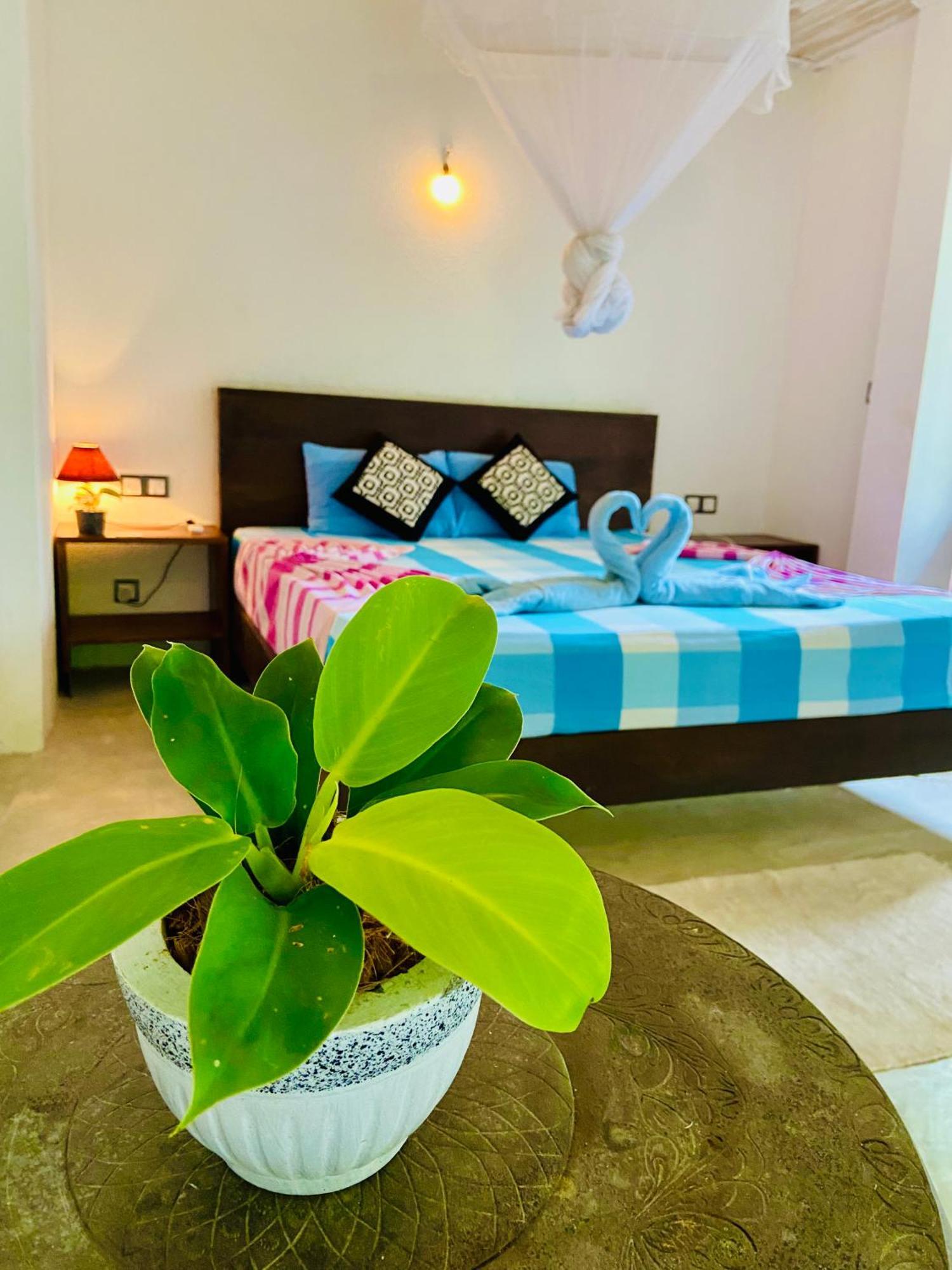 Mountain Seaview Cabanas تانجالي المظهر الخارجي الصورة